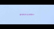 金毛吃什么长得大