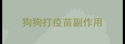 狗狗打疫苗副作用