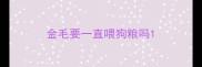 金毛要一直喂狗粮吗
