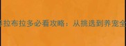 最新领养拉布拉多必看攻略从挑选到养宠全流程指南