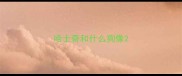 哈士奇和什么狗像