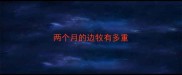 两个月的边牧有多重