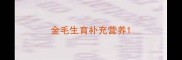 金毛生育补充营养