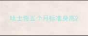 哈士奇五个月标准身高