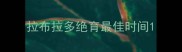 拉布拉多绝育最佳时间