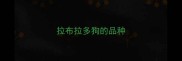 拉布拉多狗的品种