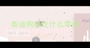 泰迪狗能吃什么零食