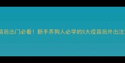疫苗后出门必看新手养狗人必学的5大疫苗后外出注意事项