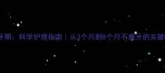 幼犬磨牙期科学护理指南从3个月到8个月不磨牙的关键时间表