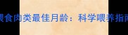 雪纳瑞幼犬喂食肉类最佳月龄科学喂养指南与营养需求