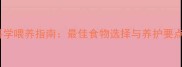 鹿犬2月龄科学喂养指南最佳食物选择与养护要点附食谱