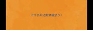 五个多月边牧体重多少
