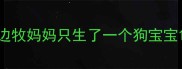 边牧妈妈只生了一个狗宝宝