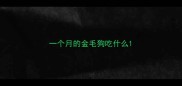 一个月的金毛狗吃什么
