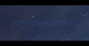 三个月边牧一次吃多少