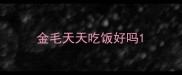 金毛天天吃饭好吗