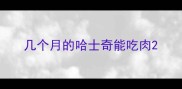 几个月的哈士奇能吃肉