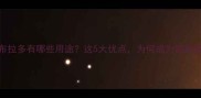 养拉布拉多有哪些用途这5大优点为何成为家庭宠首选