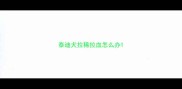 泰迪犬拉稀拉血怎么办