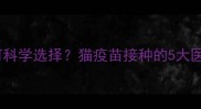 宠物医疗指南如何科学选择猫疫苗接种的5大医院对比与注意事项