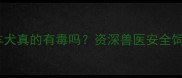 边境牧羊犬真的有毒吗资深兽医安全饲养指南