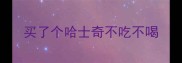 买了个哈士奇不吃不喝