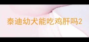泰迪幼犬能吃鸡肝吗
