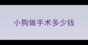 小狗做手术多少钱