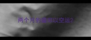 两个月的猫可以空运