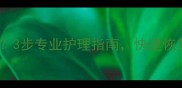 金毛犬毛黄怎么办3步专业护理指南快速恢复丝绸般金毛