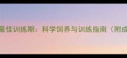 马犬打猎最佳训练期科学饲养与训练指南附成长阶段