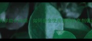 哈士奇科学助长指南如何安全使用营养补充剂促进发育