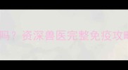 金毛犬只打狂犬疫苗对吗资深兽医完整免疫攻略附疫苗接种流程