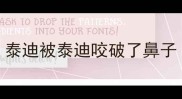 泰迪被泰迪咬破了鼻子