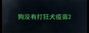 狗没有打狂犬疫苗
