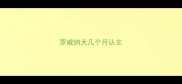 罗威纳犬几个月认主