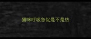 猫咪呼吸急促是不是热