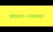 狗狗舔另一只狗的脸