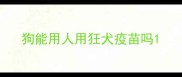 狗能用人用狂犬疫苗吗