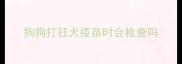 狗狗打狂犬疫苗时会检查吗