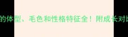 五个月大比熊犬的体型毛色和性格特征全附成长对比图及饲养建议