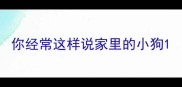 你经常这样说家里的小狗