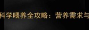 1个月金毛幼犬科学喂养全攻略营养需求与喂养技巧详解