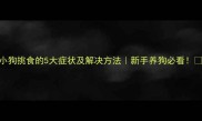 小狗挑食的5大症状及解决方法新手养狗必看
