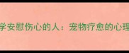 狗狗如何科学安慰伤心的人宠物疗愈的心理学与行为学