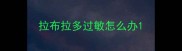 拉布拉多过敏怎么办