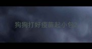 狗狗打好疫苗起小包