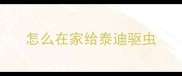 怎么在家给泰迪驱虫