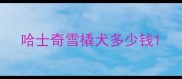 哈士奇雪橇犬多少钱