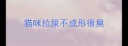 猫咪拉屎不成形很臭